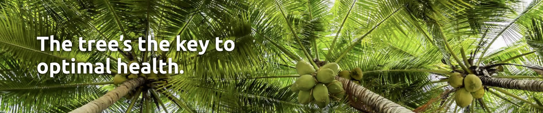 Coconut Saying