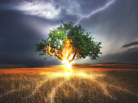 lightning hitting a tree
