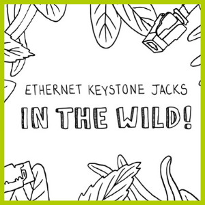 Ethernet Keystone Jacks - In the Wild!