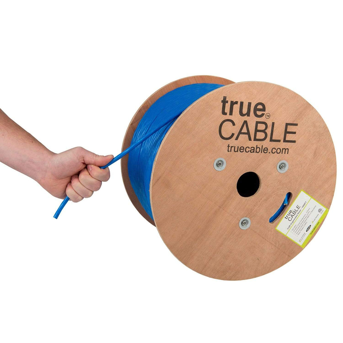 Cat6A Riser Ethernet Cable｜Unshielded