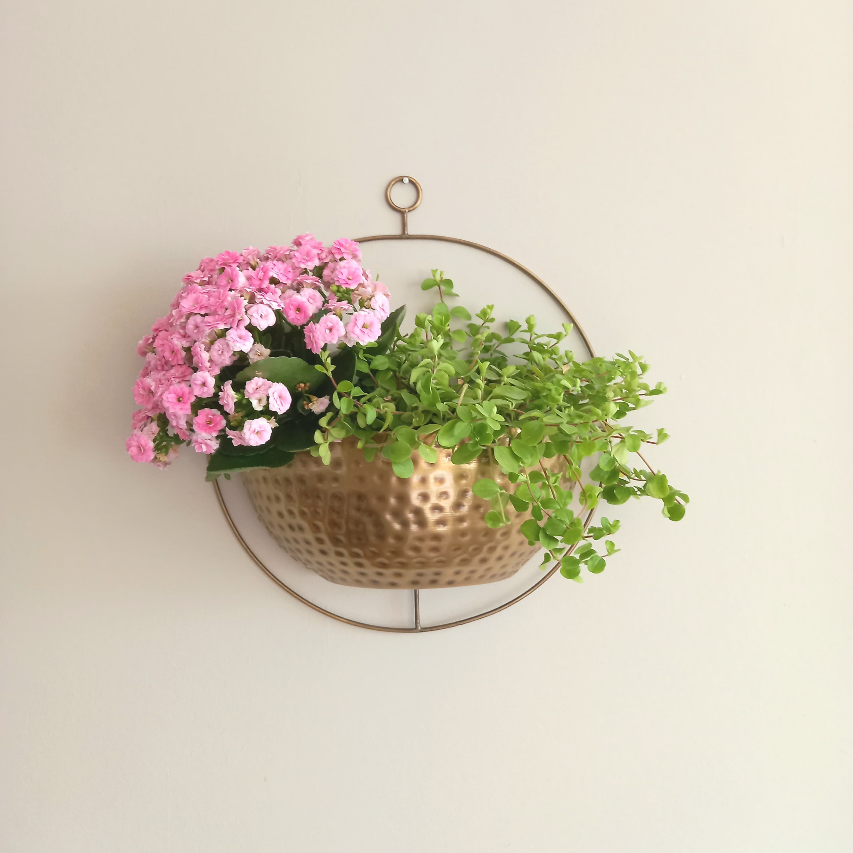 Image of Gold Wall Planter