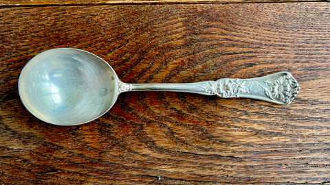 grenoble-gloria silverplate spoon down south house and home