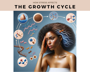 GROWTH CYCLE