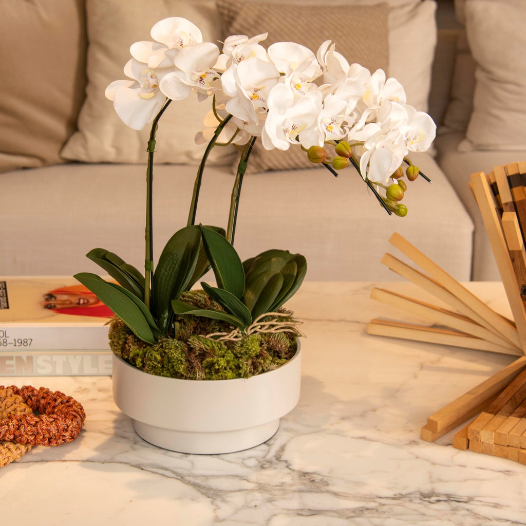 Orquideas Artificiais para casa – Verbena Flores