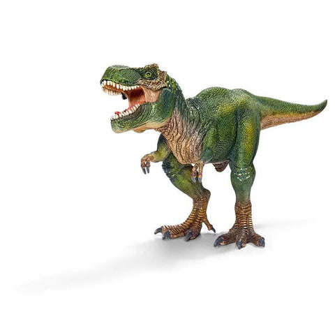 Boys T-Rex Dinosaur Toys