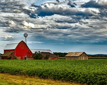 Signal on farm