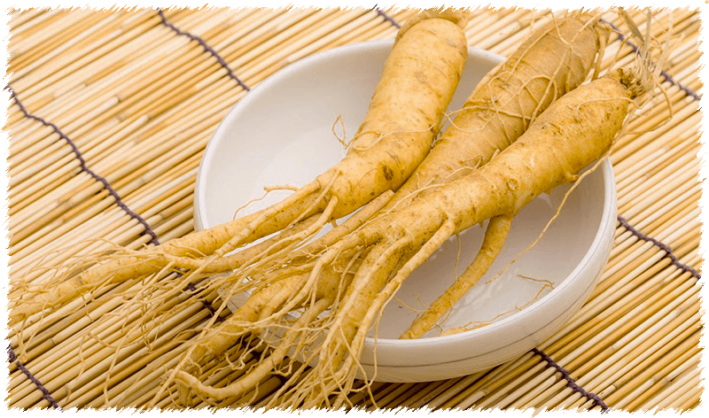 Radici di Ginseng