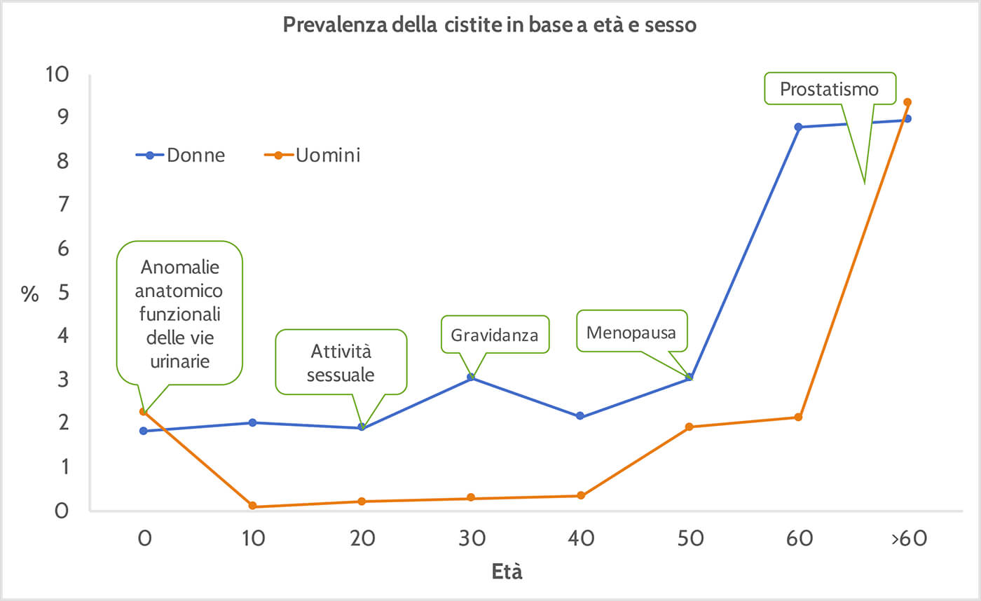 Prevalenza della cistite in base a età e sesso
