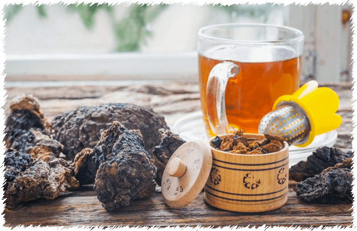 Bevanda Chaga