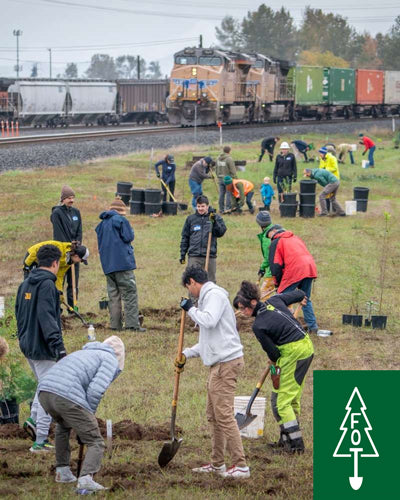 Eugene Friends of Trees Planting