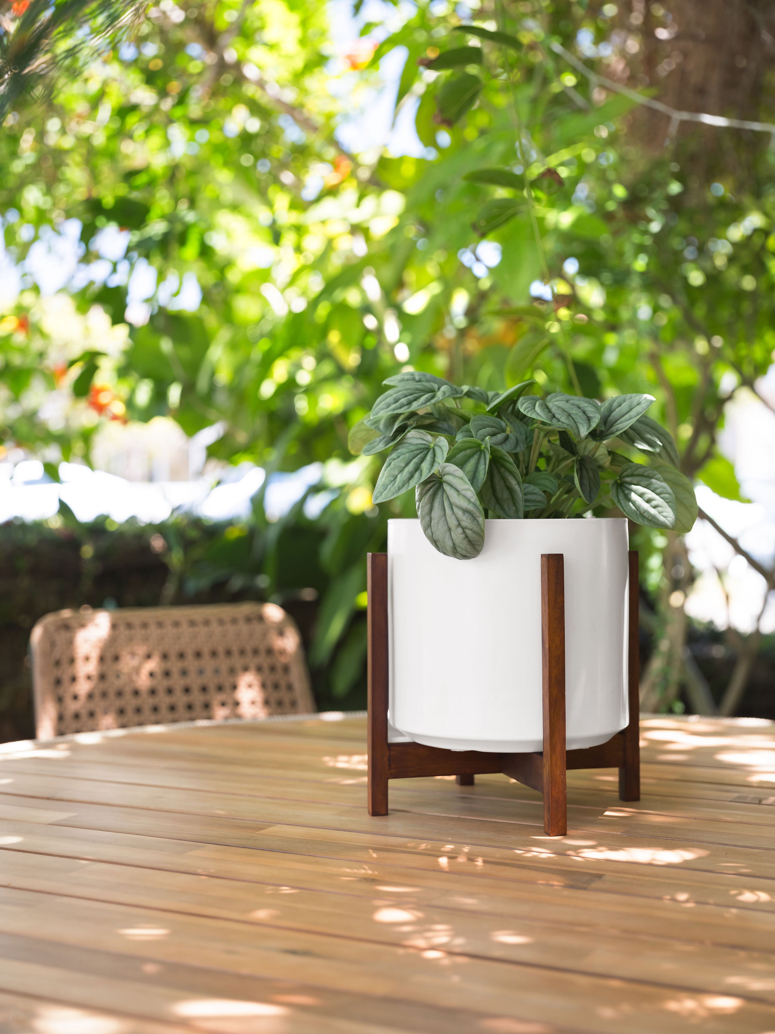 Photo of White Solid Goods 8" Ceramic Cylinder Planter with Plant Stand 