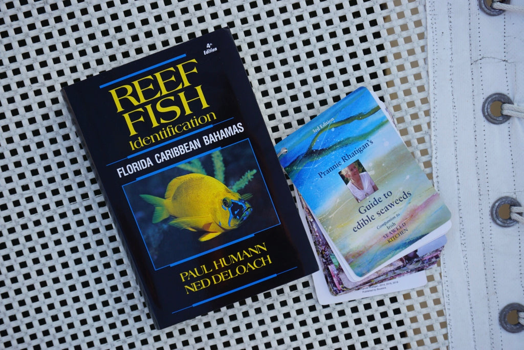 Reef Fish Book