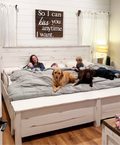 Mother, 3 children and 3 dogs shown on their oversized co sleeping mattress