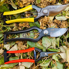 It's the time of year to Deadhead in your garden - tips on the best tools to use from Tinker and Fix