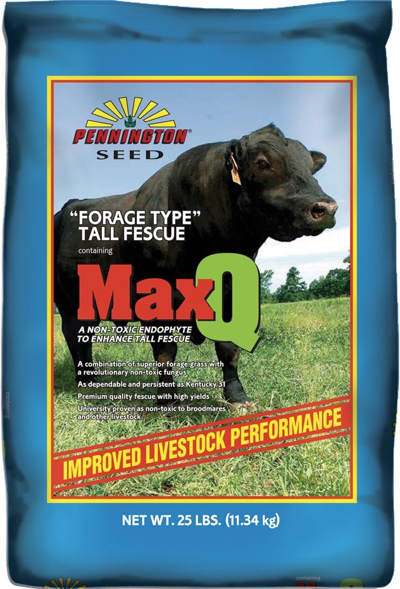 Jesup MaxQ Tall Fescue Grass Seed - 50 Lbs. - Seed Barn product image