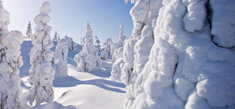 finnish nature