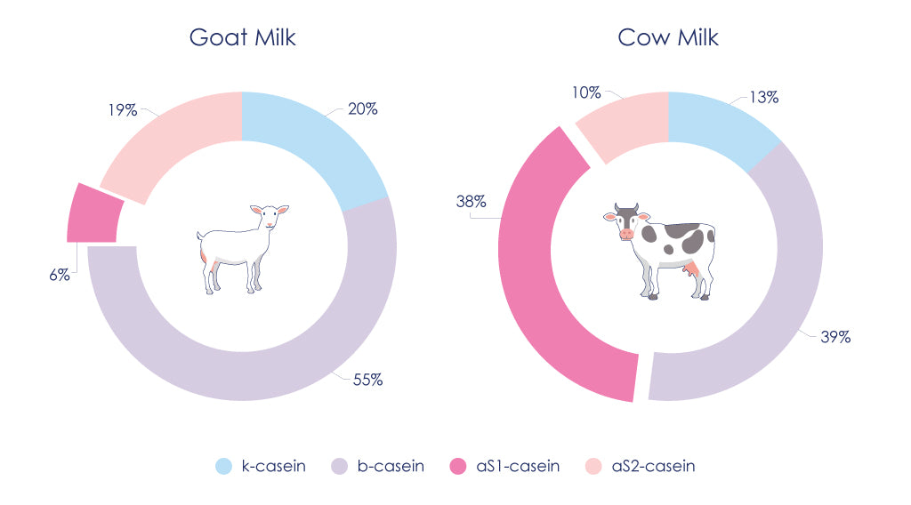 Goat vs Cow Casein Composition