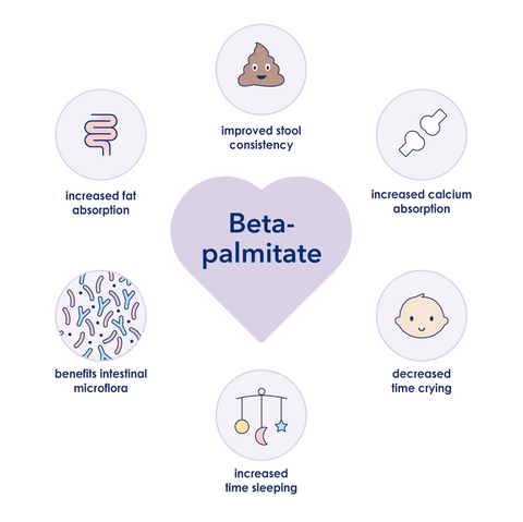 infographic of benefits of beta palmitate