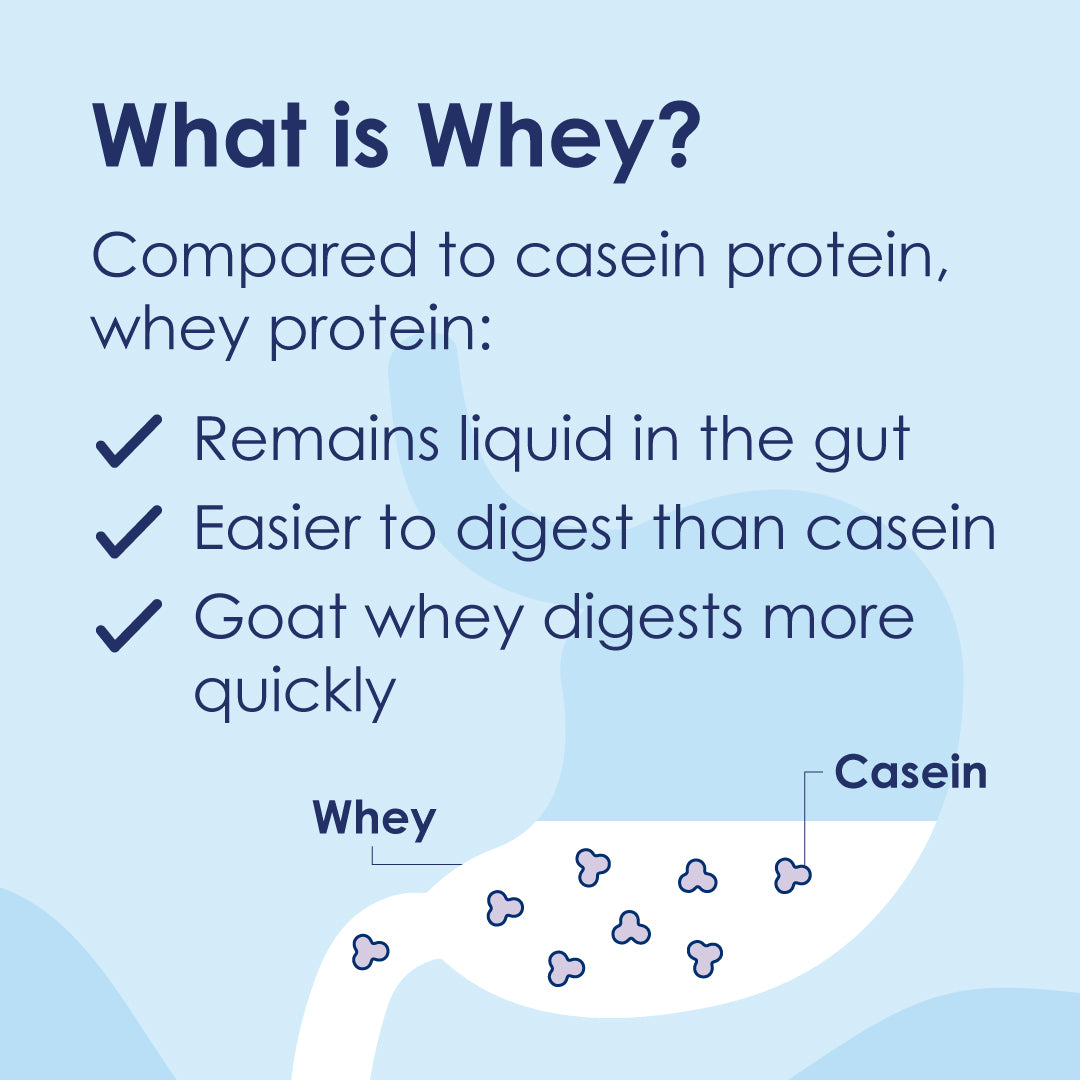 Image of a stomach with whey liquid and casein. 