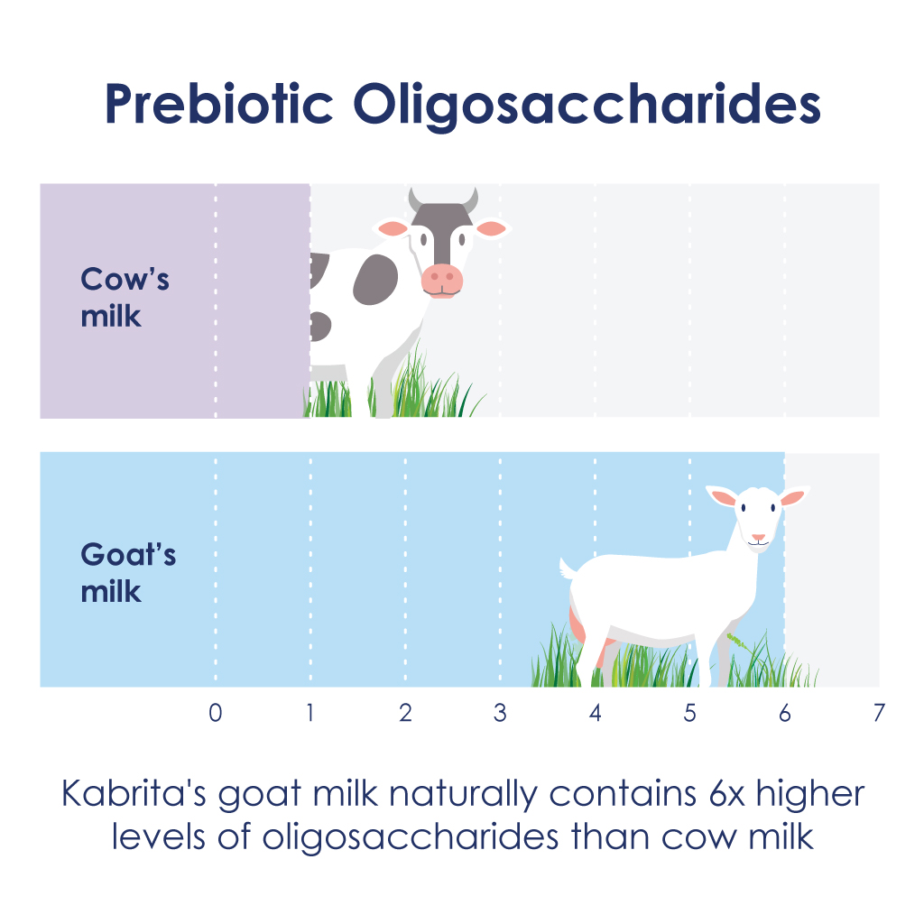 Comparison of oligosaccharides in cow and goat milk with an image of a cow and a goat