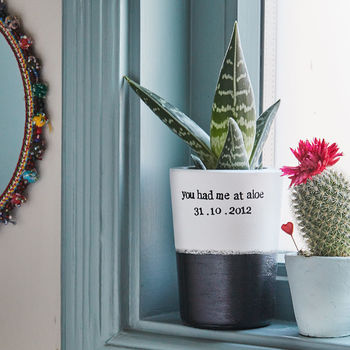 Personalised Cactus Plant - Gifts For Nurses