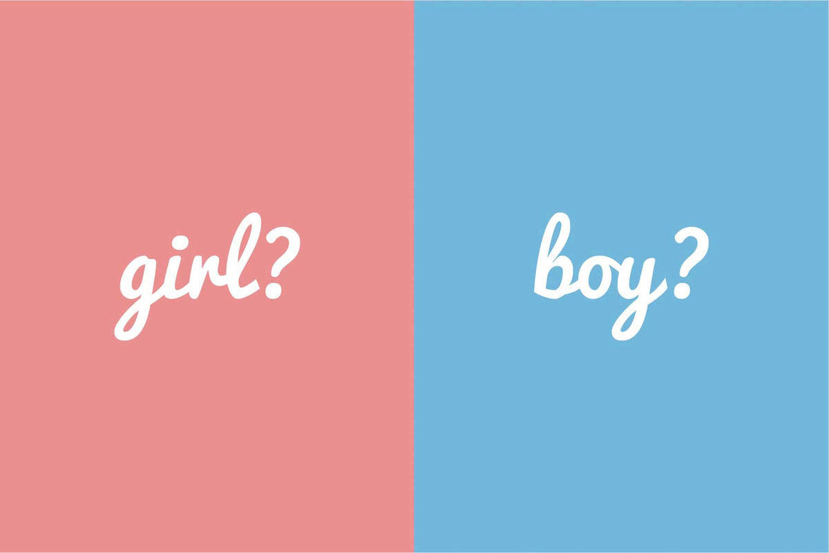 how-to-plan-a-gender-reveal-party-on-a-budget-gender-reveal-celebrations