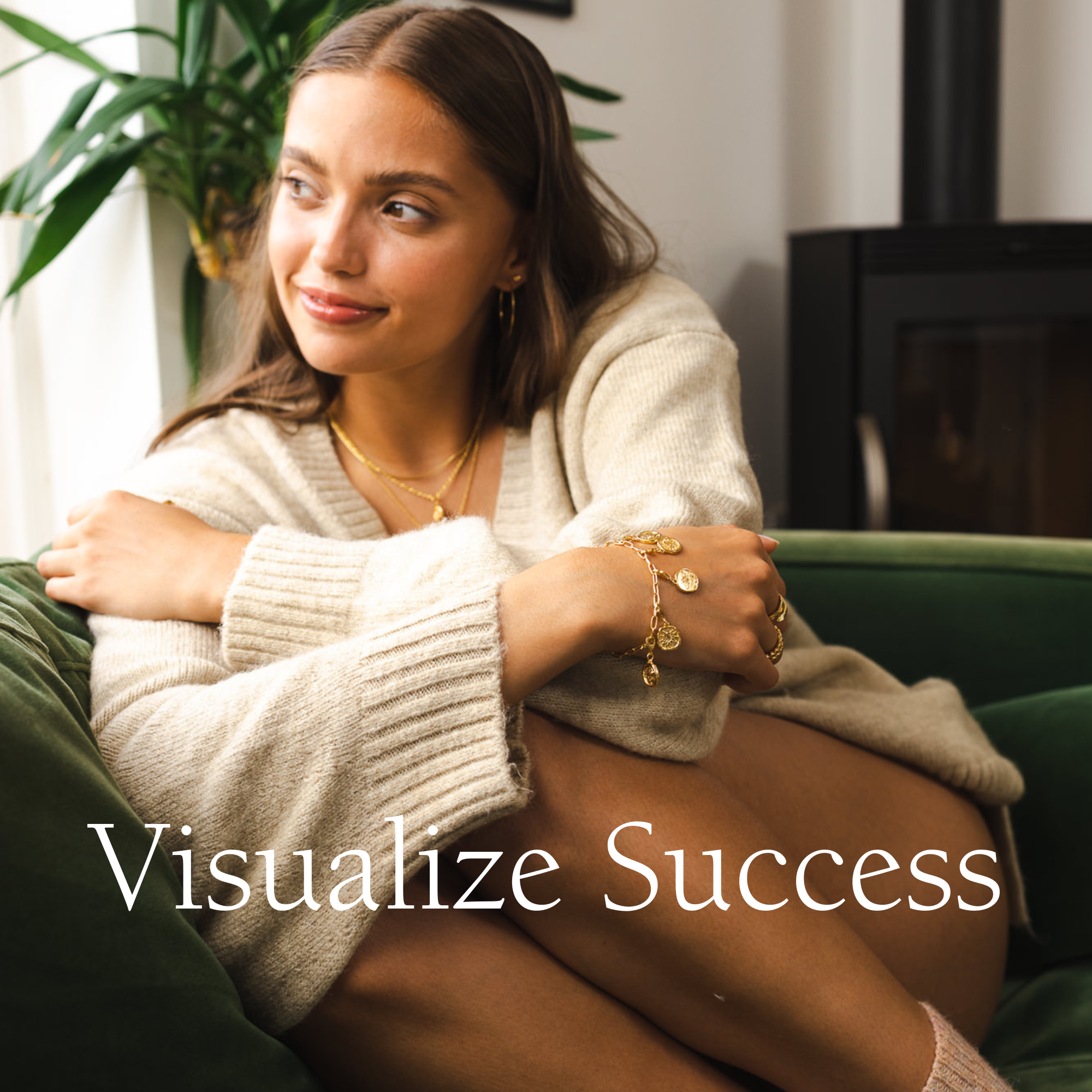 Visualize Success How to Manifest