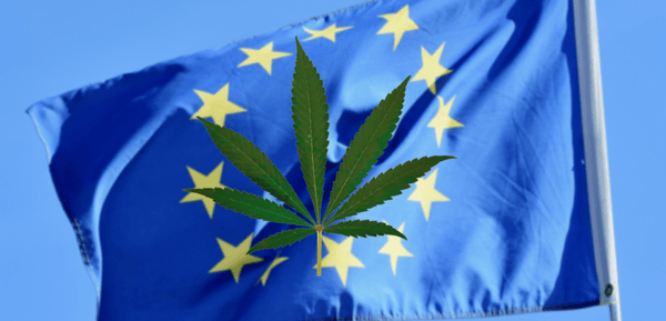 Cannabis in Europa