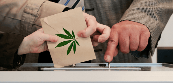 Votazione referendum cannabis 