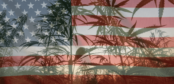 Legalizzazione Cannabis per gli americani