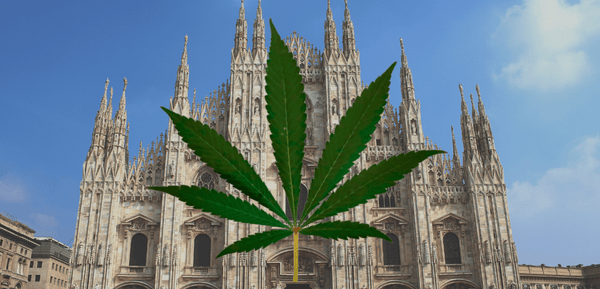 Milano legalizzazione cannabis