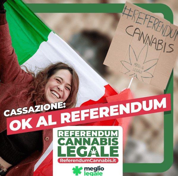 Referendum Cannabis 