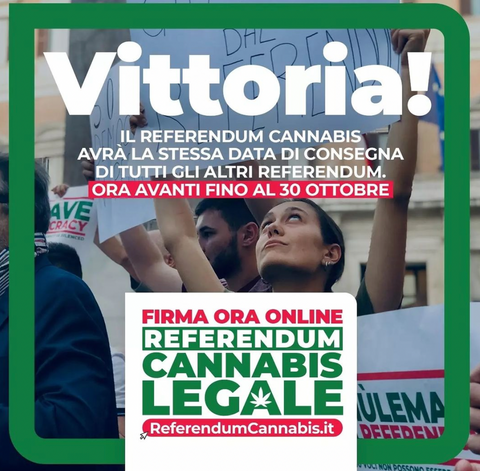 Referendum Cannabis salvo