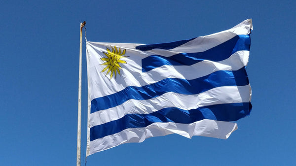 Uruguay bilancio legalizzazione cannabis