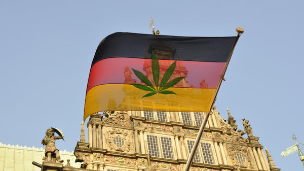 Germania legalizzazione cannabis