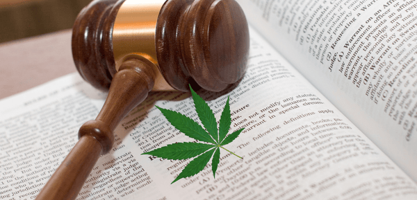 Differenza tra legalizzazione, depenalizzazione e liberalizzazione