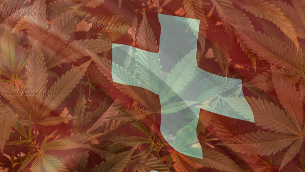 Legalizzazione cannabis Svizzera