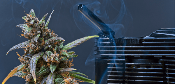 vaporizzazione cannabis 
