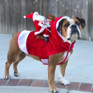 Santa Riding Dog Sweater