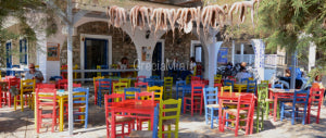 taverne di pesce Grecia