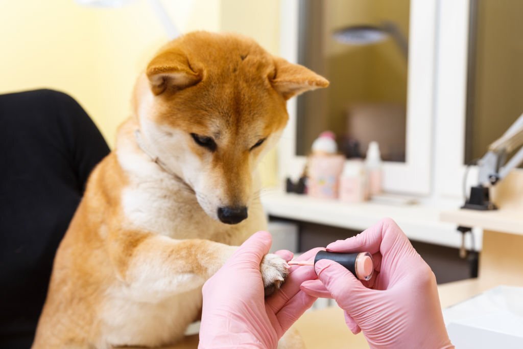 is the smell of nail polish bad for dogs