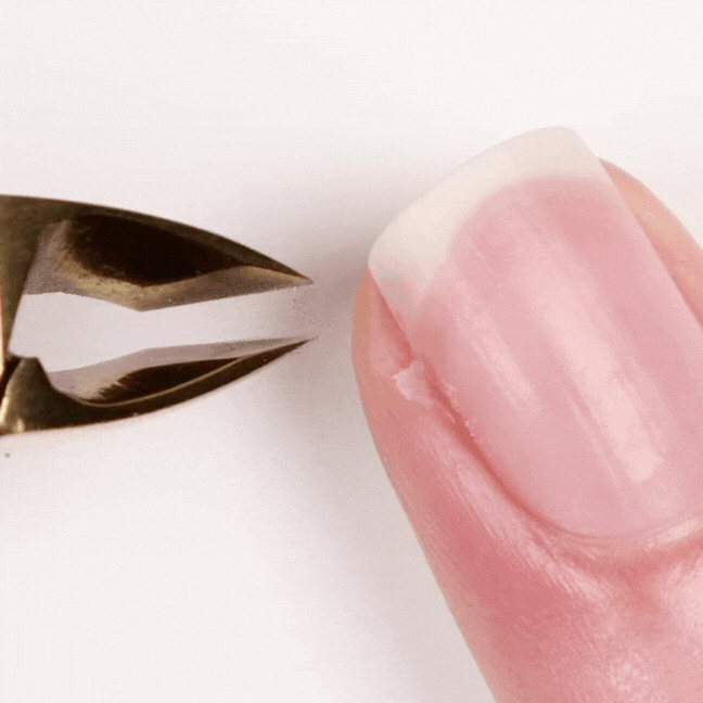 4.gif__PID:fd0f9d5e-6df8-4fdd-9770-569b074111a3