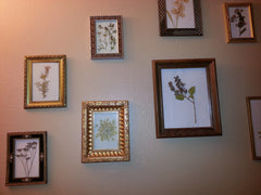 pressed flower wall art