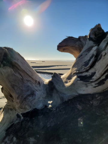 Merchants Beach Oregon