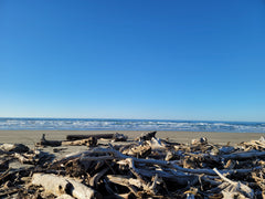 Oregon Coast