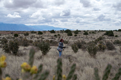 nature desert cholla new mexico albuquerque cactus