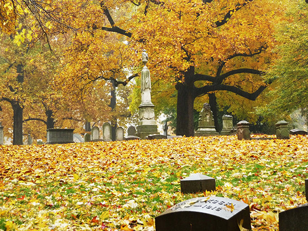 bellefontaine cemetery st. louis