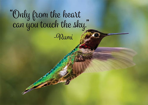 Inspirational Hummingbird Greeting Cards | The Hummingbird Garden ...