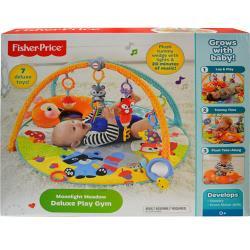 fisher price play gym