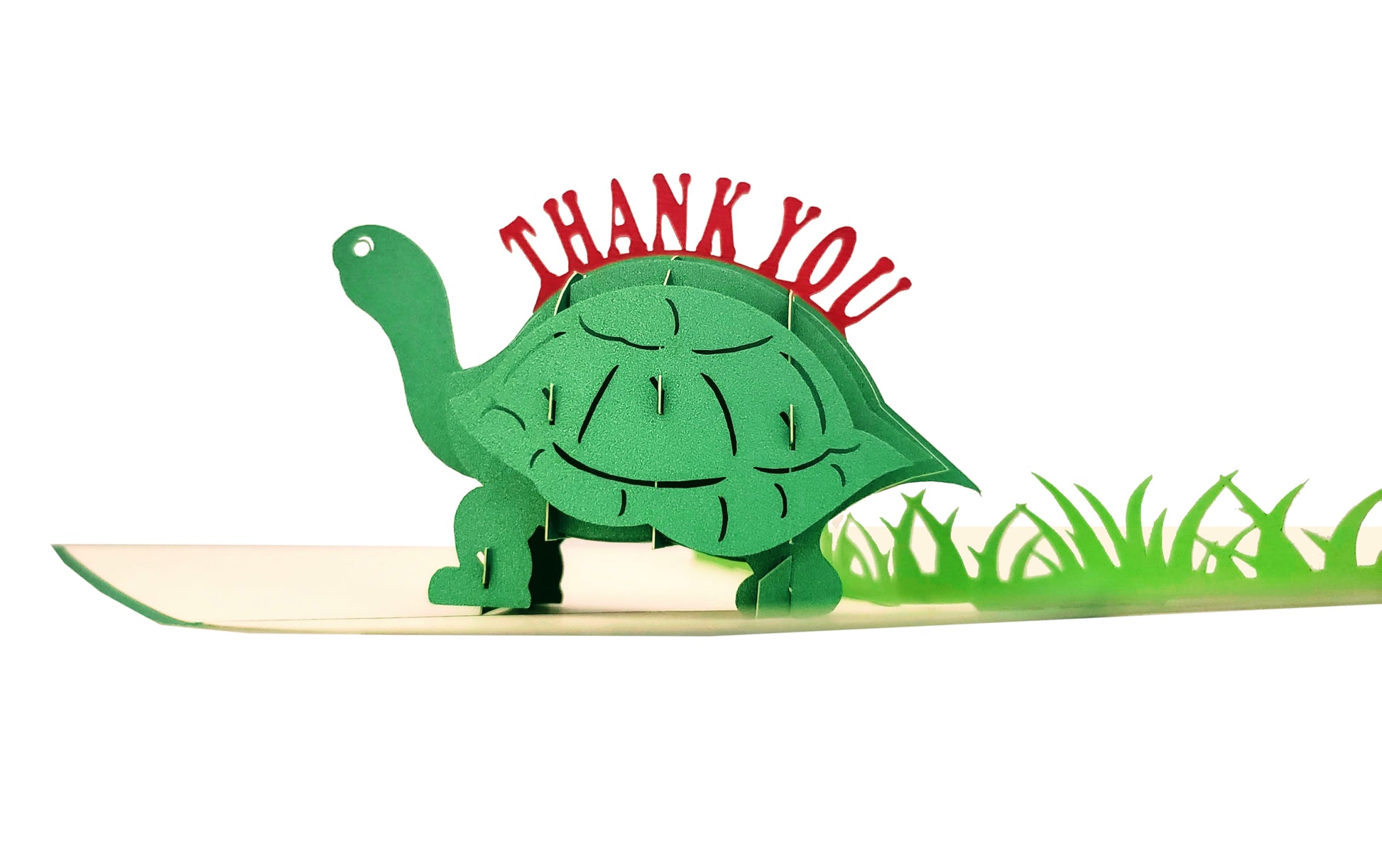 Cute Turtle Thank You 3D Pop Up Greeting Card - Admin Assistant Day - Fun - Happy Thanksgiving - Tha - iGifts And Cards